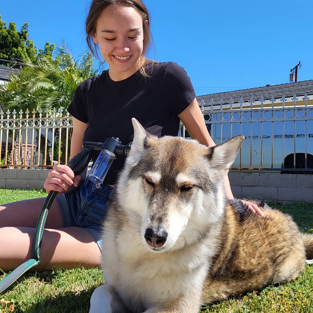 DOG SPA™ ｜Geef je hond in recordtijd moeiteloos een douche